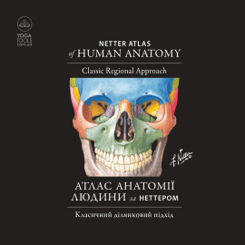 Книга "Атлас анатомії людини за Неттером: класичний ділянковий підхід: 8-е видання", Френк Г. Неттер Книга "Атлас анатомії людини за Неттером: класичний ділянковий підхід: 8-е видання", Френк Г. Неттер