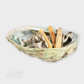 ������ � ���� �������: ��� �����, ���� �����. ͳ��������