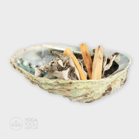 ������ � ���� �������: ��� �����, ���� �����. ͳ��������