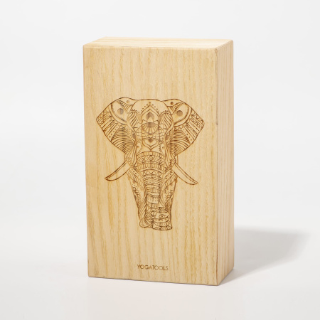 ������ ��� ���� ART Slon 2.0, ����