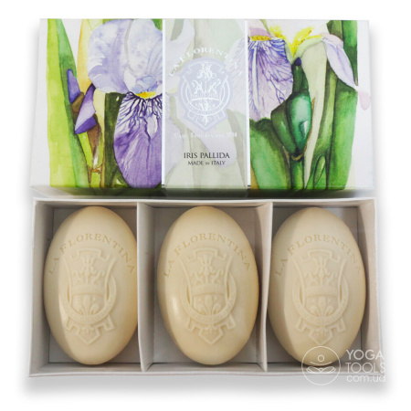 ������������ ���� iris pallida, Italy, 450g